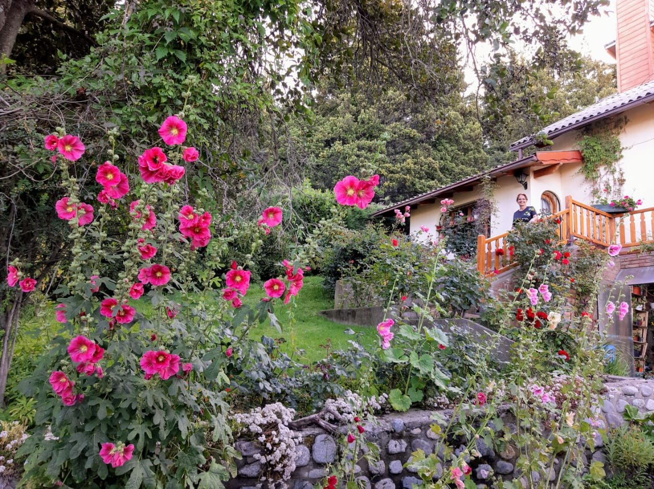 El jardín